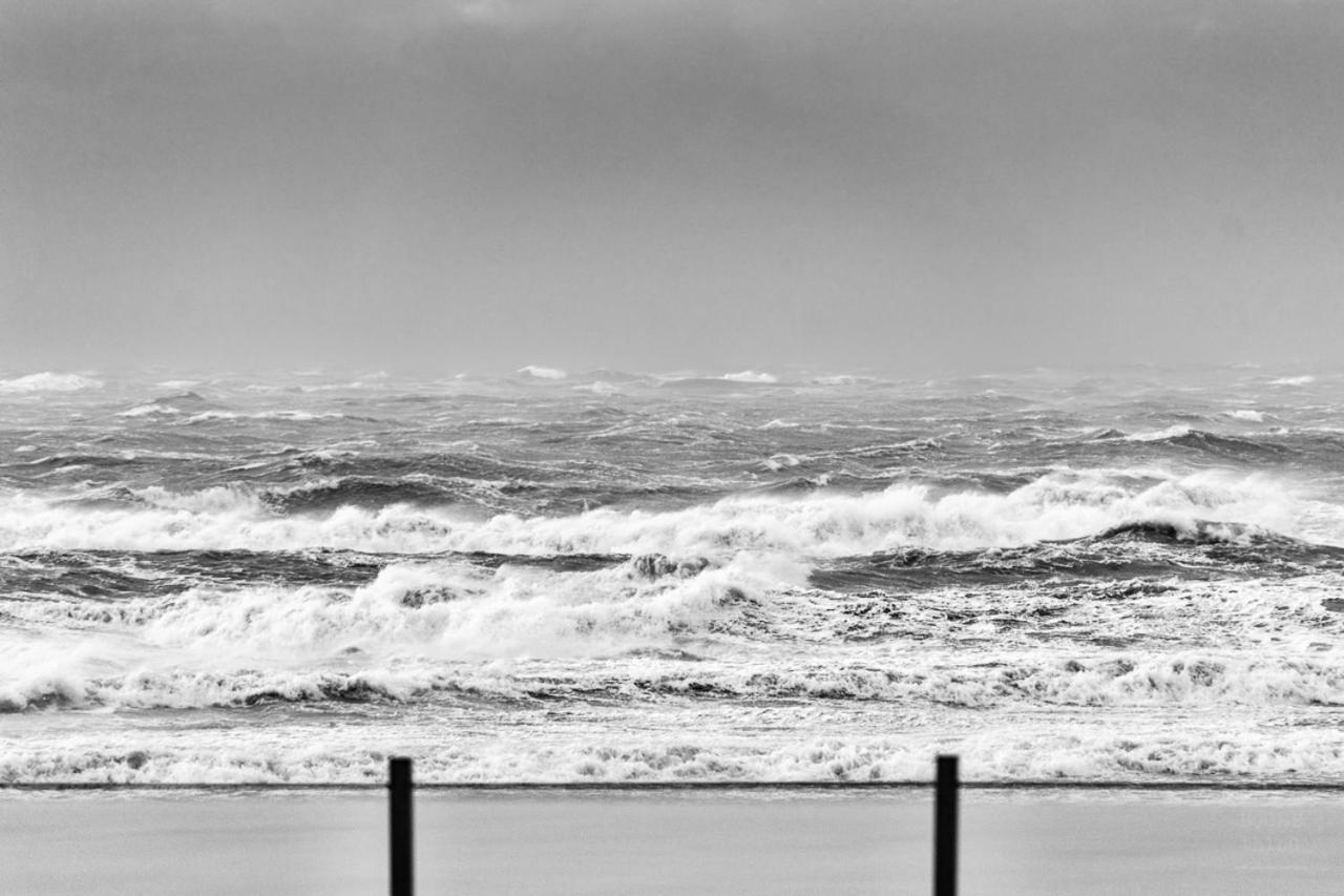 Knappe Studio Met Subliem Zeezicht! Oostende Exteriör bild